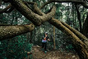 BIB: 
                            <button type="button" onclick="openModal(25664638)" class="btn btn-primary btn-sm float-right btn-popup" data-toggle="modal" data-target=".modal-high-quality">
                        <i class="fas fa-shopping-cart"></i> Add to Cart
                    </button>
                                            <button type="button" onclick="isThisMe(25664638, true)" class="btn btn-success btn-sm float-right btn-popup btn-isme hidden" data-toggle="tooltip" data-placement="bottom" title="นี่คือรูปของคุณใช่ไหม คลิกที่นี่เพื่อเอาเข้าอัลบั้ม">
                        <i class="fas fa-plus"></i> Add to album
                    </button>
                    <button type="button" onclick="isThisMe(25664638, false)" class="btn btn-warning btn-sm float-right btn-popup btn-isnotme hidden">
                        <i class="fas fa-ban"></i> Remove from album
                    </button>